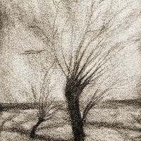 "Bäume am Feld", Kaltnadelradierung, Druck auf Büttenpapier, 23 x 18 cm, 2/10, 2021