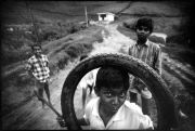 Munnar_Radjunge_Maiwind.jpg