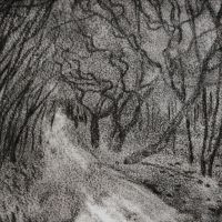 "Der Weg", Kaltnadelradierung, Druck auf Büttenpapier, 1/3, 15 x 24 cm, 2021