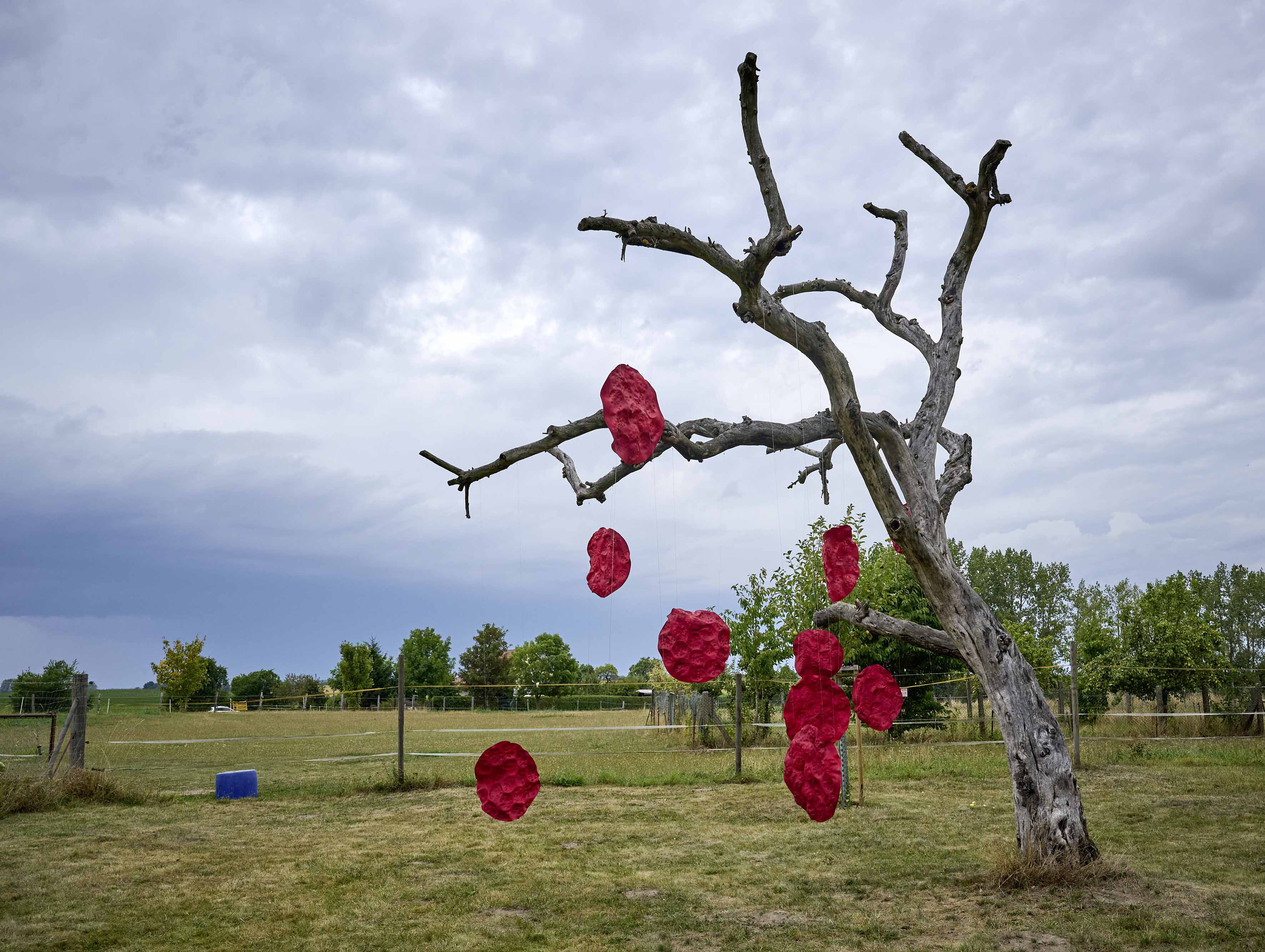 Déjà-vu. 2026, mehrteilige Installation, Foamiran, Acrylfarbe