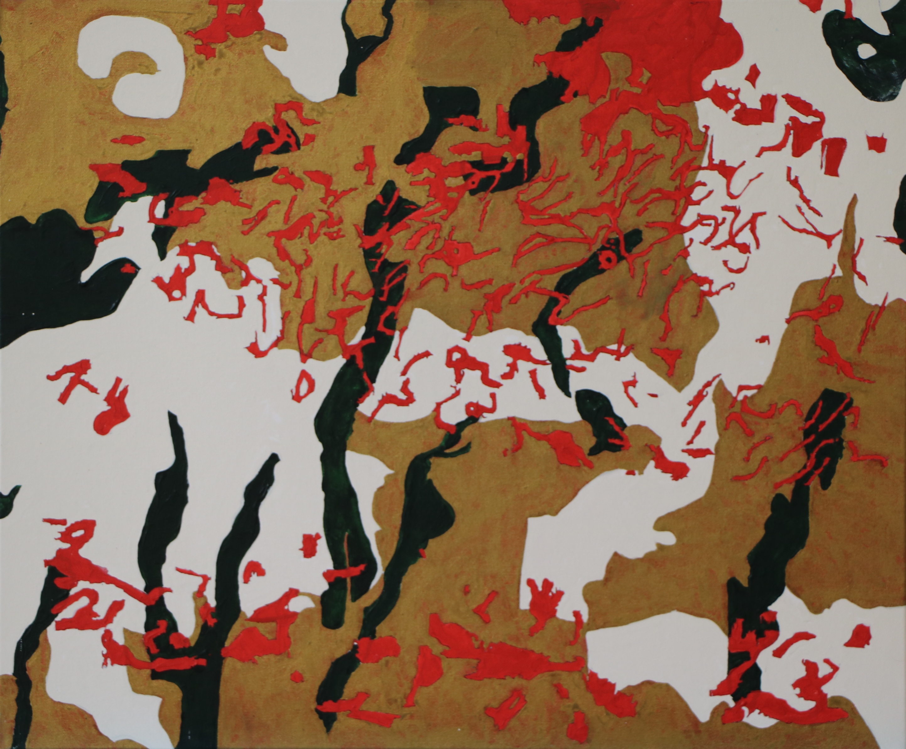 2017 Ac1 60x50 (5).JPG